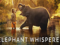 The Elephant Whisperers 750x375 1