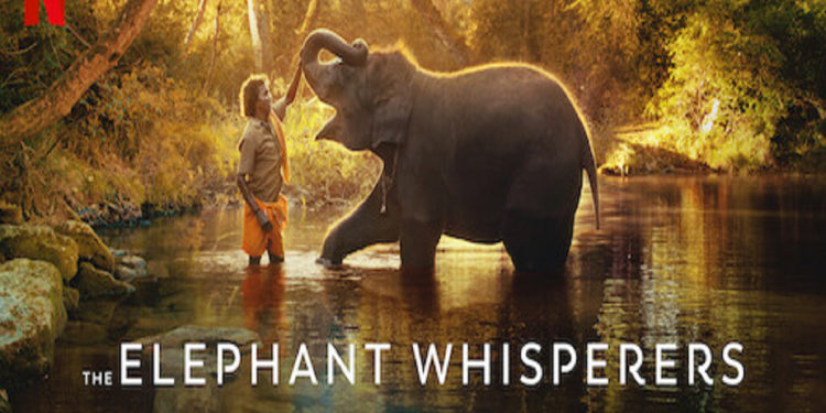 Watch The Elephant Whisperers Movie Download [4K, HD, 1080p 480p, 720p]